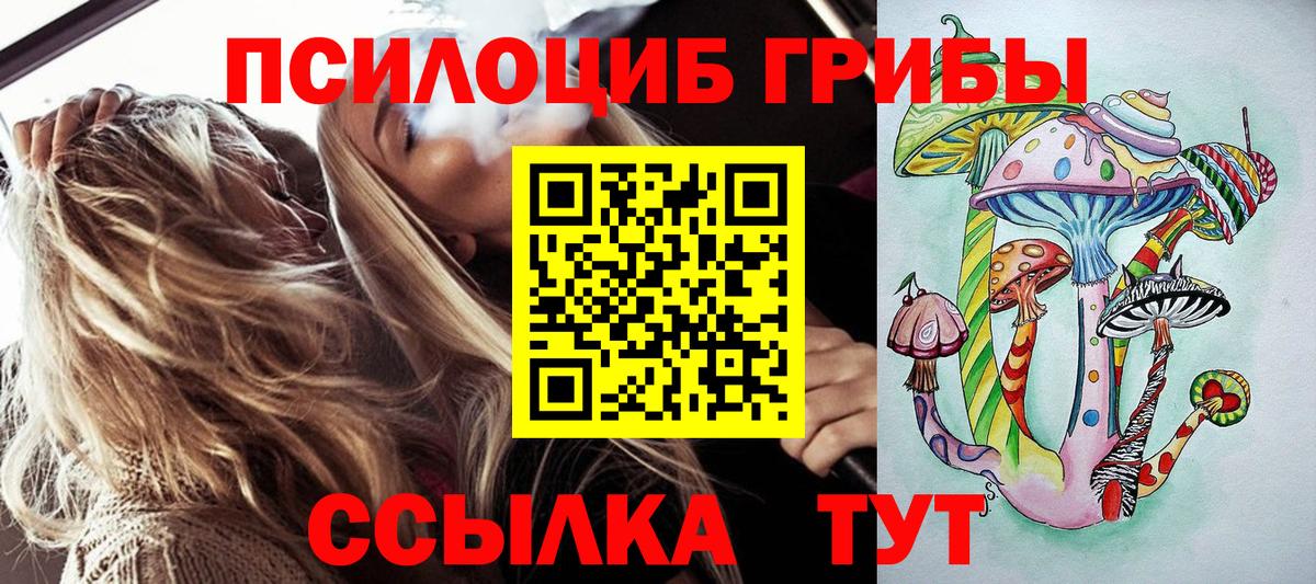 Псилоцибиновые грибы Psilocybine cubensis  Вход с VPN  Тара  Галлюциногенные грибы мицелий 